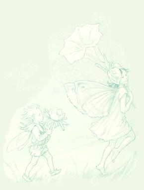 Summer Fairies